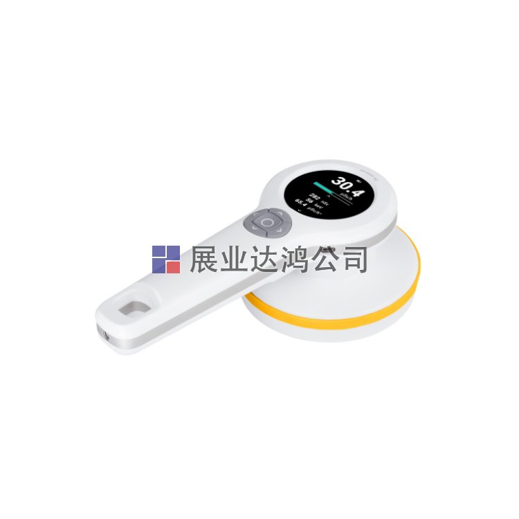 <b>RaySafe 452輻射測量儀</b>